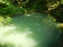 Headwaters of Antes Creek at Nippenose Spring