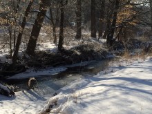Winter scene at a stream